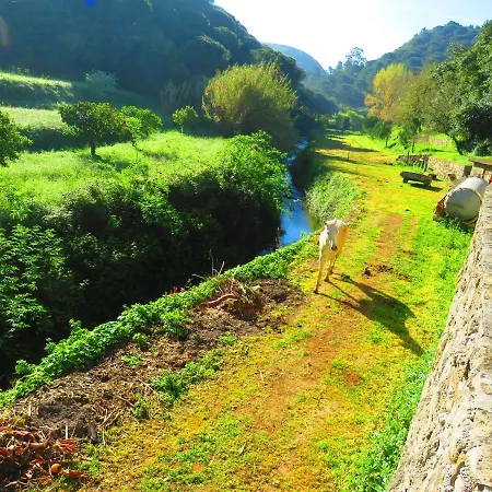 Cozy House With View Holiday home Porto de Mos (Leiria)